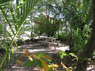 Crab Claw Island Hotel Bynoe Harbour Exterior photo